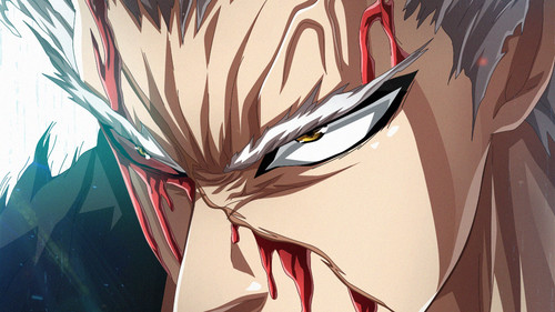 Garou one punch anime - punch,