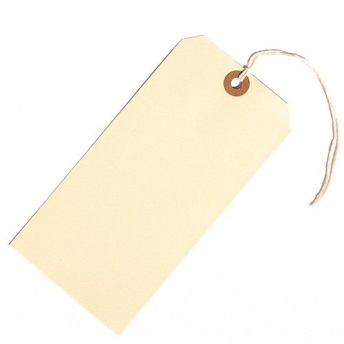 100 large manila paper - manila,